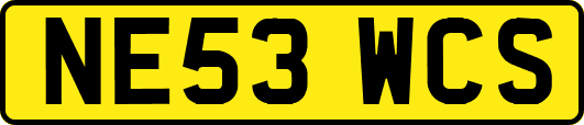 NE53WCS