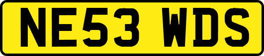 NE53WDS