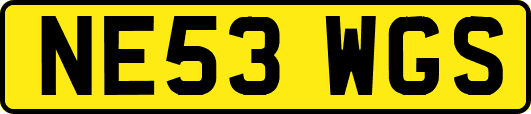 NE53WGS