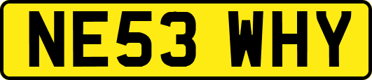 NE53WHY