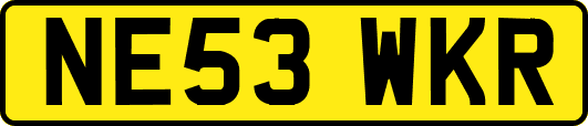 NE53WKR