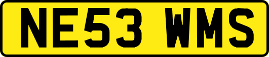 NE53WMS