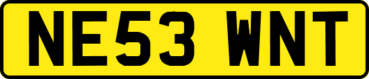 NE53WNT