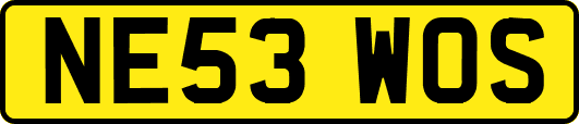 NE53WOS