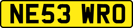NE53WRO