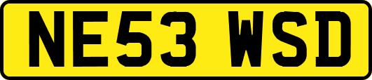 NE53WSD