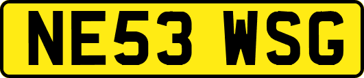 NE53WSG