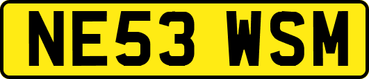 NE53WSM