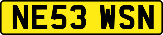 NE53WSN