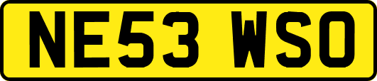 NE53WSO