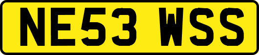 NE53WSS