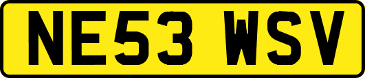 NE53WSV