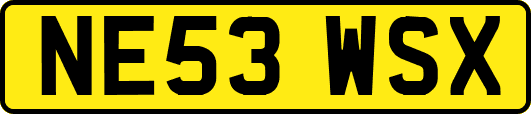 NE53WSX