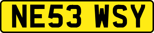 NE53WSY