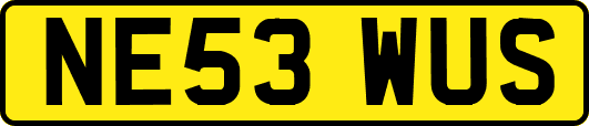 NE53WUS
