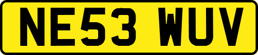 NE53WUV