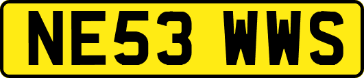 NE53WWS