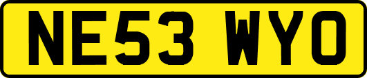 NE53WYO