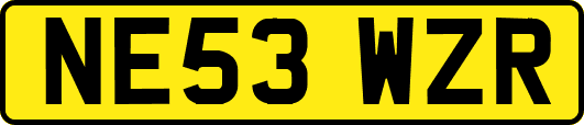 NE53WZR