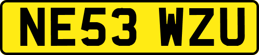 NE53WZU