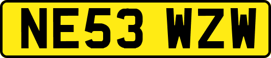 NE53WZW