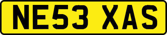 NE53XAS