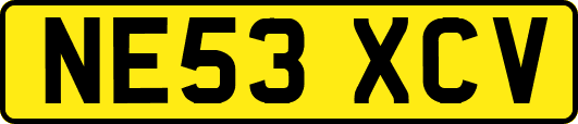 NE53XCV