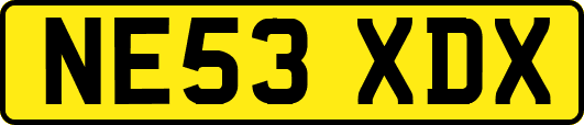 NE53XDX