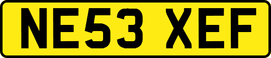 NE53XEF