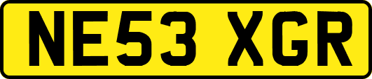 NE53XGR