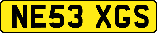 NE53XGS
