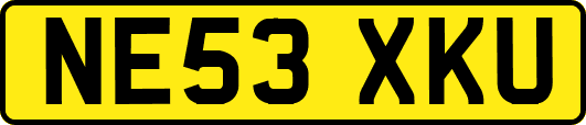 NE53XKU