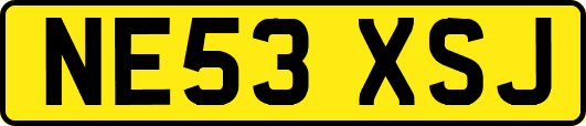 NE53XSJ