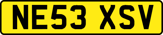 NE53XSV