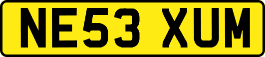 NE53XUM
