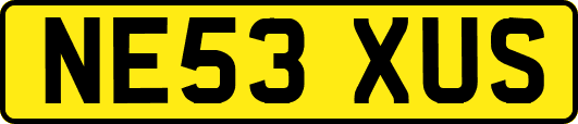 NE53XUS