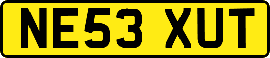 NE53XUT