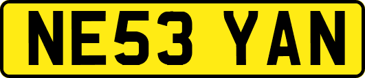 NE53YAN