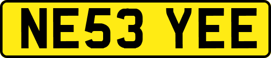 NE53YEE