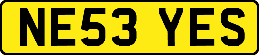NE53YES