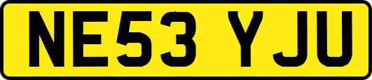 NE53YJU