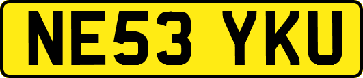 NE53YKU