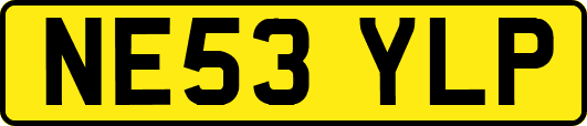 NE53YLP