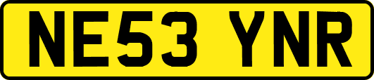 NE53YNR