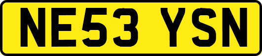 NE53YSN