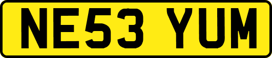 NE53YUM