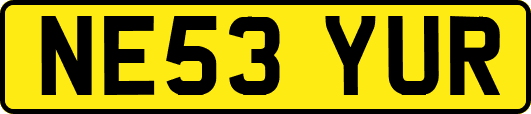 NE53YUR