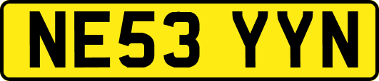 NE53YYN