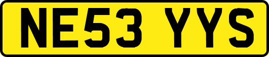 NE53YYS