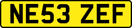 NE53ZEF